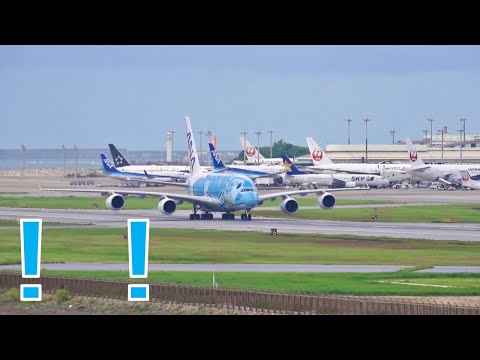 【デカすぎ】那覇空港に世界最大の旅客機が来たらこうなる！【A380,ANA】