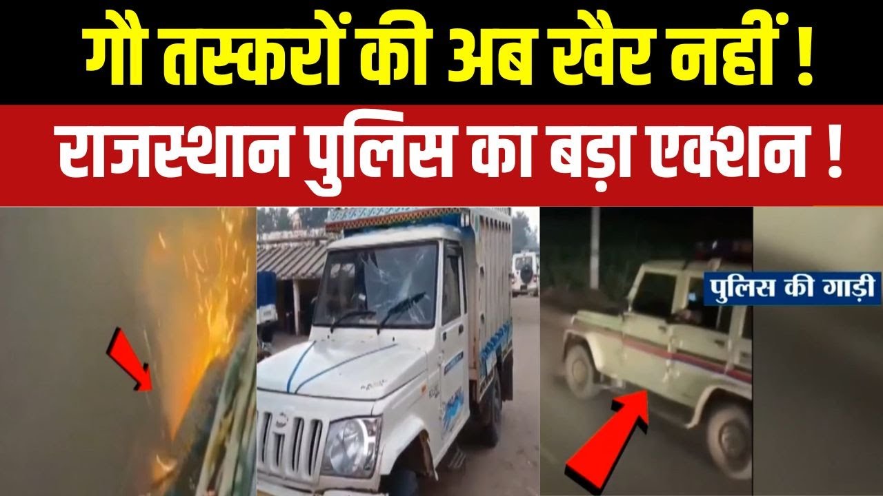 Operation Nandi Against Cow Smuggler : गौ तस्करों को पकड़ने के लिए पुलिस का एक