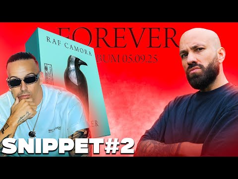 WOW! Raf Camora Snippet #2 ist KRASS / 2Bough reagiert