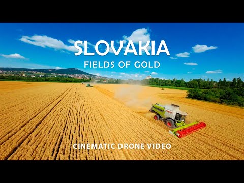 Fields of Gold Cinematic drone video. Nitra Slovakia. Explorer 4lr / DJI o3 unit
