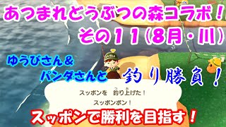 あつまれどうぶつの森で釣りバトル！・・・その１１(８月・川)[ゆうび。チャンネルさんコラボ]