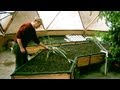 Building Aquaponic Grow Beds - Time Lapsed
