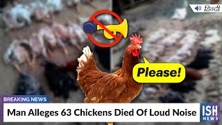 Man Alleges 63 Chickens Died Of Loud Noise