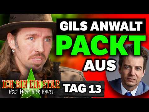 FANS STOCKSAUER 😤 Gil Ofarims ANWALT SPRICHT KLARTEXT! DSCHUNGELCAMP 2026 Tag 13