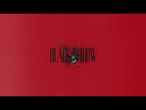 Alok, Kickbait & CERES - BLACK WIDOW (Official Audio)