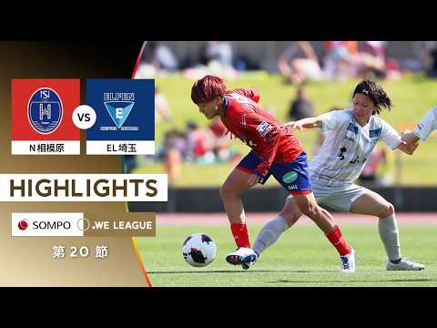bg-highlight
