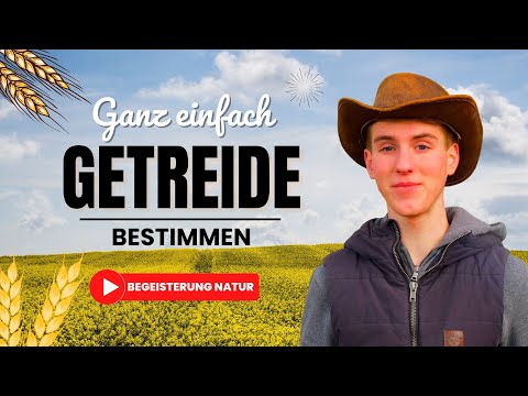 Unsere heimischen Getreidesorten einfach bestimmen | BegeisterungNatur©
