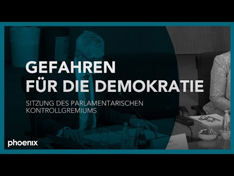 phoenix plus: Threats to democracy