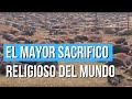 EL MAYOR SACRIFICIO RELIGIOSO DEL MUNDO como nunca antes se había visto