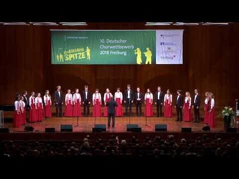 10. DCW-Preisträgerkonzert III: Jugendkammerchor des Musikgymnasiums Schwerin (Mai 2018)