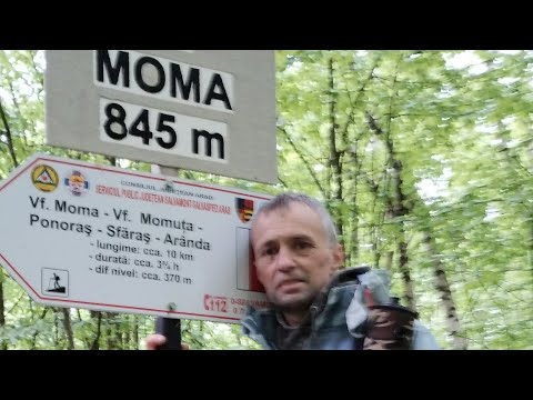 pe Munții Codru Moma ( Partea întâi)