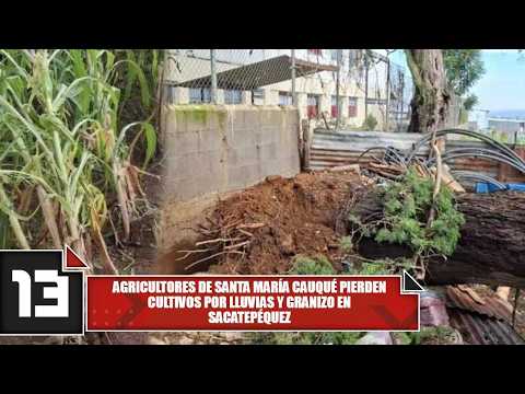 Agricultores de Santa María Cauqué pierden cultivos por lluvias y granizo en Sacatepéquez
