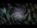 Ozric Tentacles - Tight Spin [Visualization] (MD2)