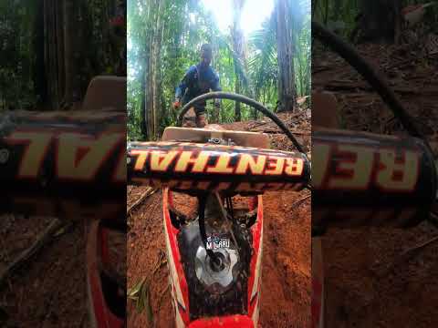 TRILHÃO DE CAMPO NOVO RONDONIA - PILOTO BORRACHA216