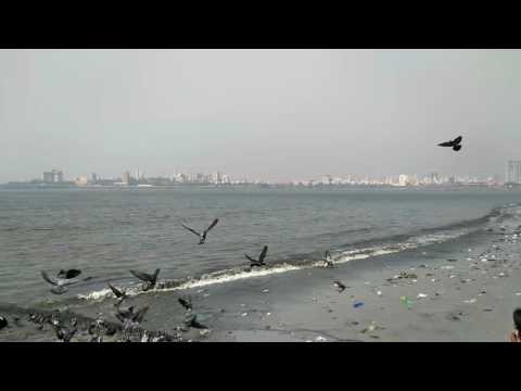 Mahim Bay