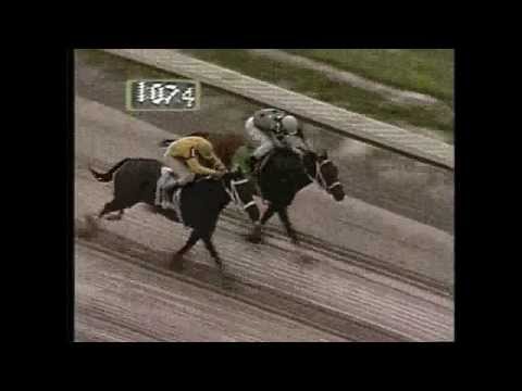 EL YUNQUE - Vence a Sneaky Solicitor - 11 Julio 1993