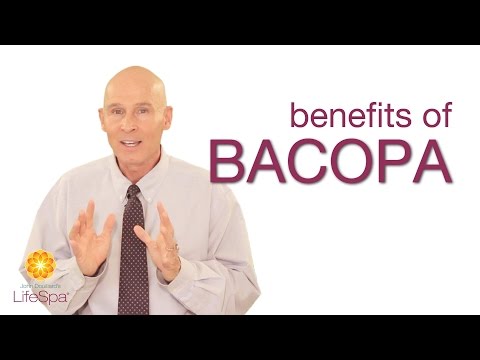 Benefits of Bacopa | John Douillard's LifeSpa