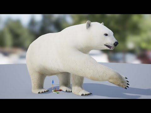 Medhue Polar Bear for Sale in Unreal Engine!!
