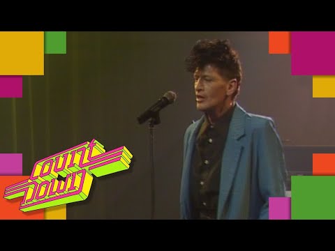 Herman Brood - Sleepin' Bird | COUNTDOWN (1988)