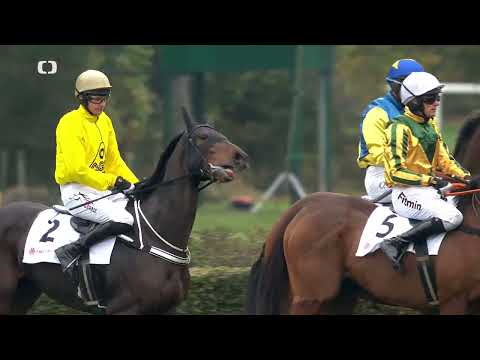 12. 10. 2025 - 6. dostih - Poplerův memoriál společnosti PROFI CREDIT