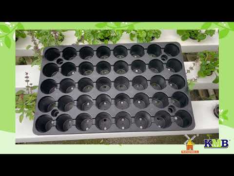 40 holes seedling tray