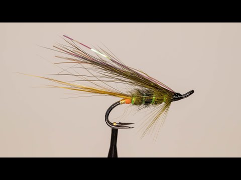 Tenon Oliivi muunnos, Perhonsidonta - Mikko Halonen