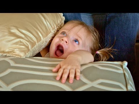 Toddler Reacts To Dad's Big Mean Kitty Book