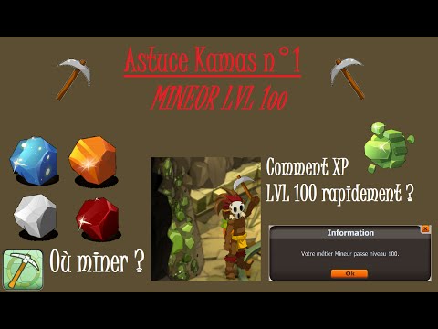 comment monter mineur lvl 100 rapidement