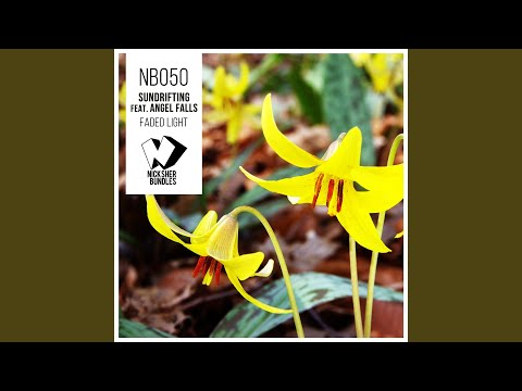 Faded Light (Original Mix)