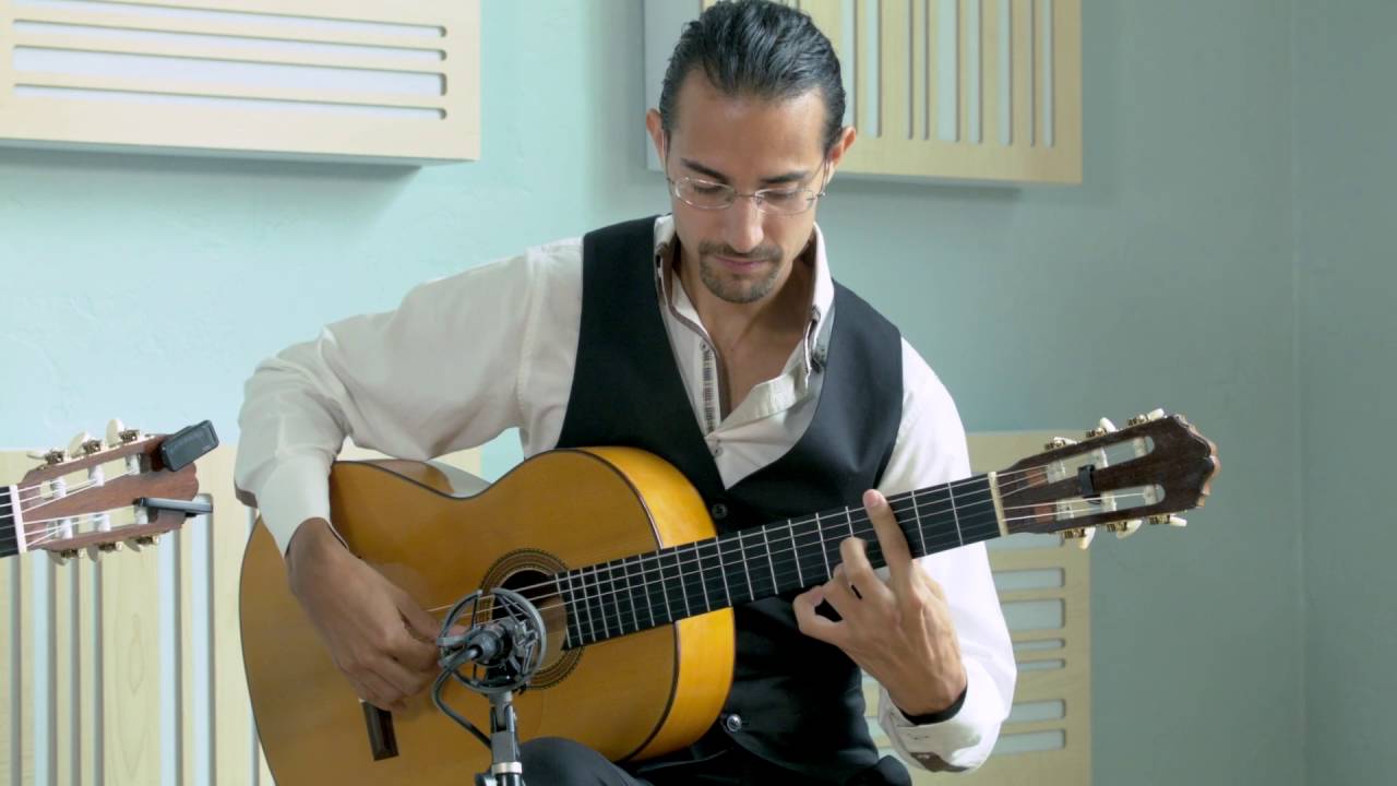 Promotional video thumbnail 10 for Martin Metzger ~ Solo, Duo and Ensemble