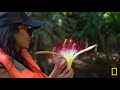 Explore Costa Rica