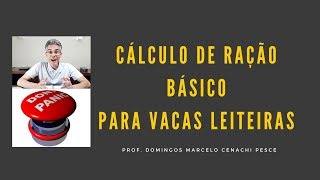 Cálculo de ração básico para vacas leiteiras