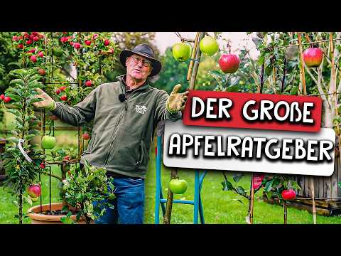 The Apple Tree Guide 🍎 - Everything about varieties, rootstocks, planting & care