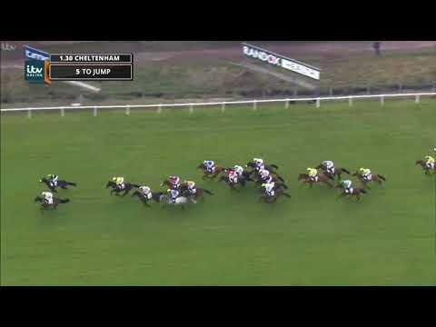 2018 Supreme Novice Hurdle - Cheltenham Festival