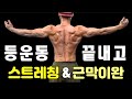 등운동 끝나면 무조건 하세요! (등 스트레칭, 자가 마사지)