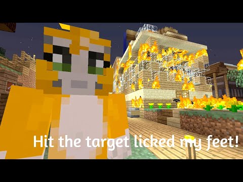 Hit the targets feet - Stampy Parody