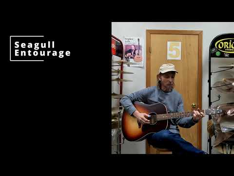 Seagull Guitars Entourage Acoustic Guitar - Autumn Burst image 11