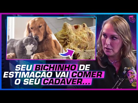 ESSA É A HISTÓRIA MAIS BIZARRA COM UM FETO E UMA GALINHA - ROSANGELA MONTEIRO