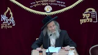אידיש - הרב אלימלך בידרמן | הכל נקבע לפי ההתחלה, פרשת נח - חורף תשפ"ו / לשיעור בעברית בתיאור👇🏻 (ארגון קול הלשון) - התמונה מוצגת ישירות מתוך אתר האינטרנט יוטיוב. זכויות היוצרים בתמונה שייכות ליוצרה. קישור קרדיט למקור התוכן נמצא בתוך דף הסרטון