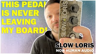 Video thumbnail for The SLOW LORIS Has Arrived! Non Human Audio Slapback Delay by Boring Gear Reviews