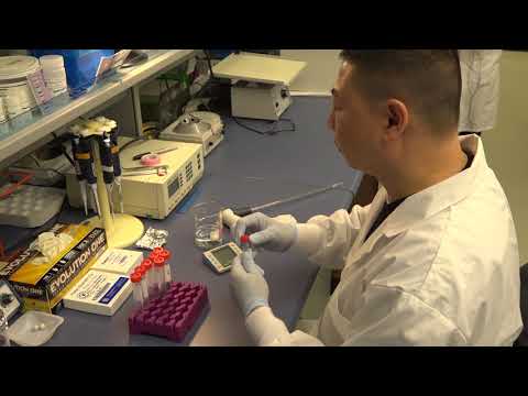 download lagu mp3 mp4 How To Do A Paternity Test With Hair, download lagu How To Do A Paternity Test With Hair gratis, unduh video klip How To Do A Paternity Test With Hair