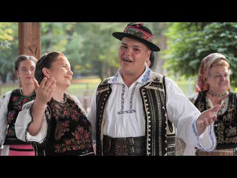 Silviu Avram   Dragostile nevestesti V+E