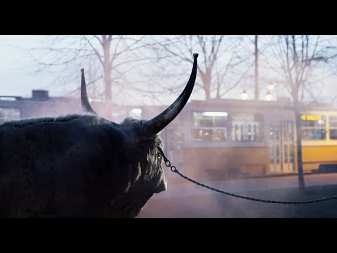 Urban Verbunk - FASHION BARBAR teaser