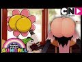 Gumball | The Amazing Butterfly Effect | Cartoon Network