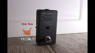Video thumbnail for Bigfoot Engineering - Octo Puss passive octave up effect by Pedals Fusion