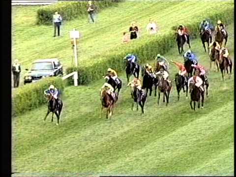 124. Deutsche Derby in Hamburg Horn ( 4.7.1993 ) Gruppe 1 / Starter:19 / 2400m