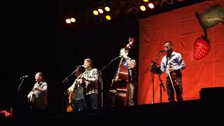 The Shaker -31-2018, Travelin McCourys, Strawberry Music Festival, Tuolumne, CA