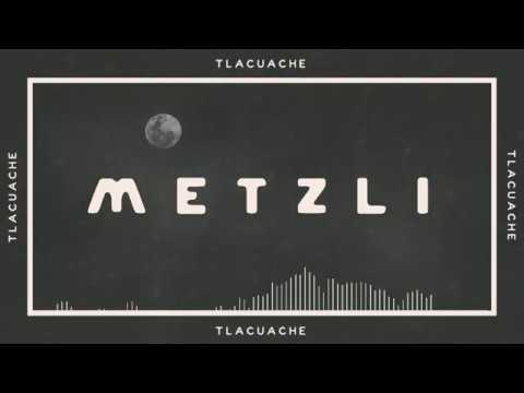 Tlacuache - Metzli
