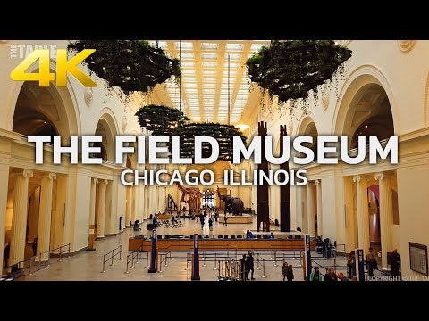 image-How many exhibits are in the Field Museum?
