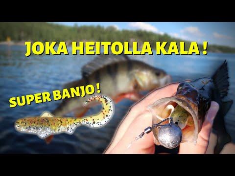 ISON AHVENEN JIGAUSTA | PERCH FISHING